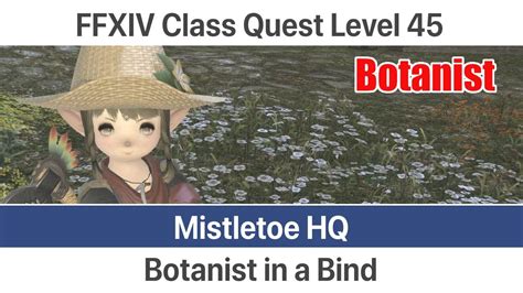 " This quest is available at level 17, and since leveling is so fast in the earlier stages of FF14, it shouldn't be an issue. . Botanist leveling guide ffxiv